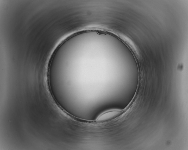 X0000103151288200808221119