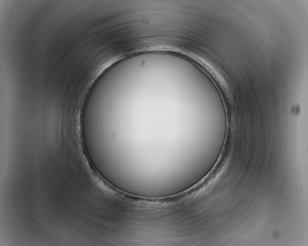 X0000103151289200808221119