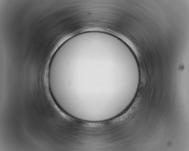 X0000103151290200808221119