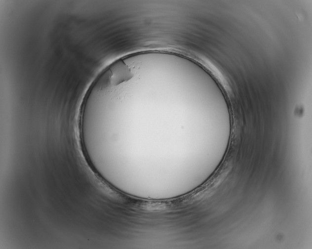 X0000103151291200808221119