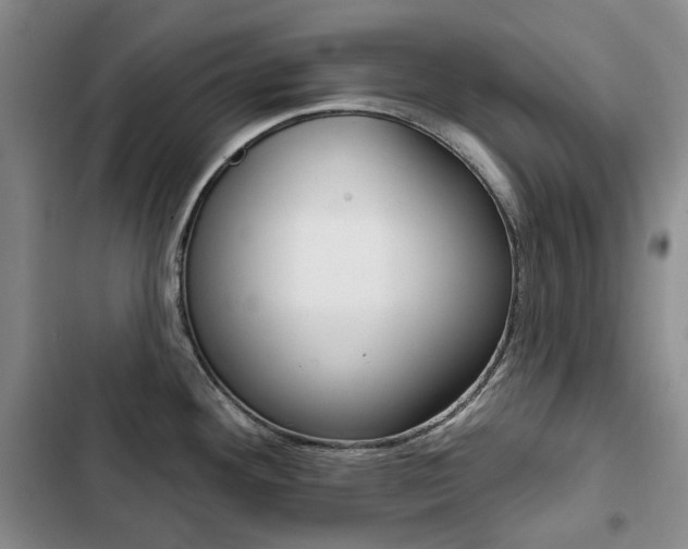 X0000103151292200808221119