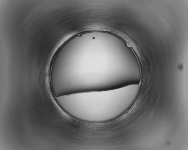 X0000103151293200808221119