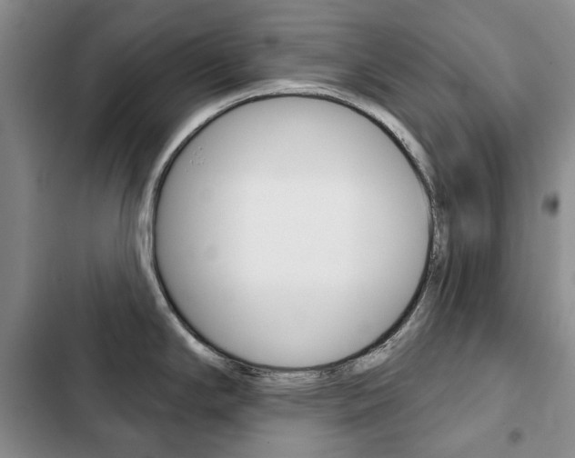 X0000103151294200808221119