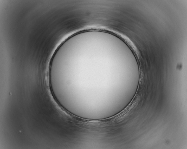 X0000103151295200808221119