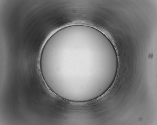 X0000103151296200808221119