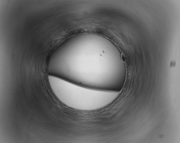 X0000103151298200808221119