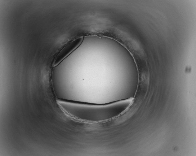 X0000103151300200808221119