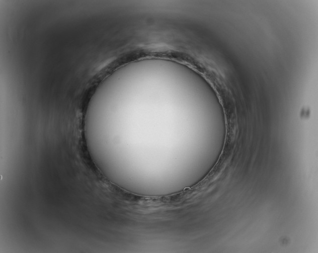 X0000103151301200808221119