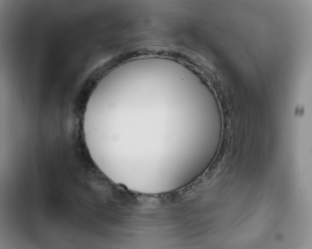 X0000103151302200808221119