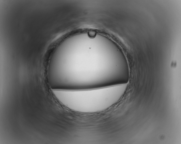 X0000103151303200808221119