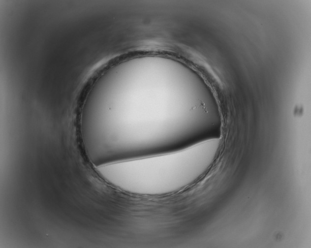 X0000103151304200808221119