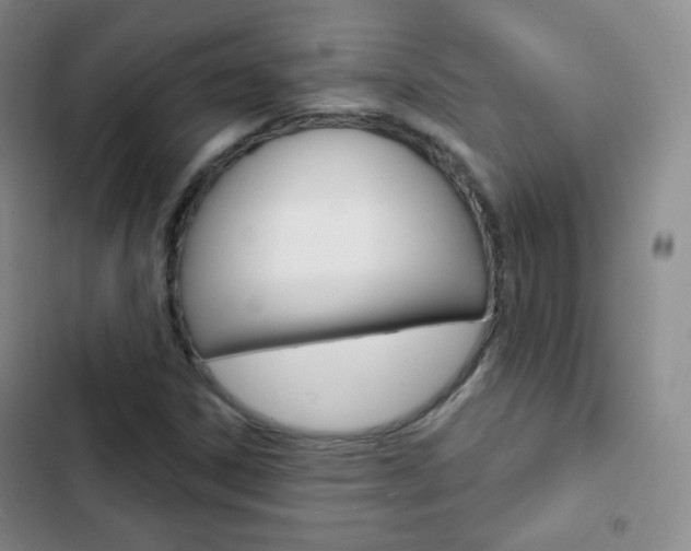 X0000103151306200808221119