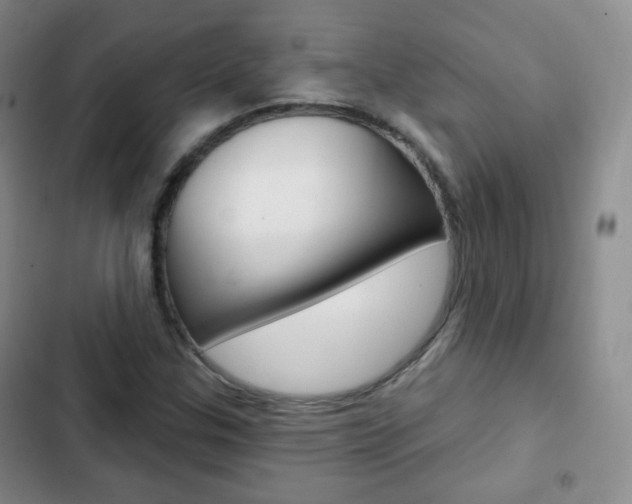 X0000103151307200808221119