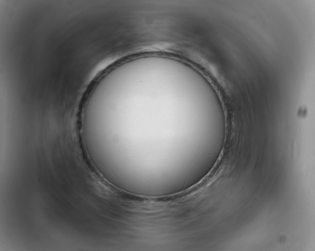 X0000103151308200808221119