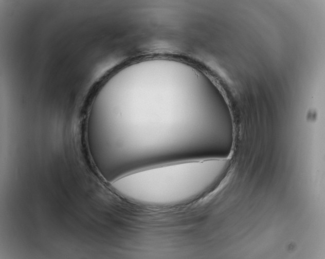X0000103151309200808221119