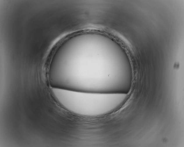 X0000103151310200808221119