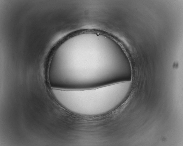 X0000103151311200808221119
