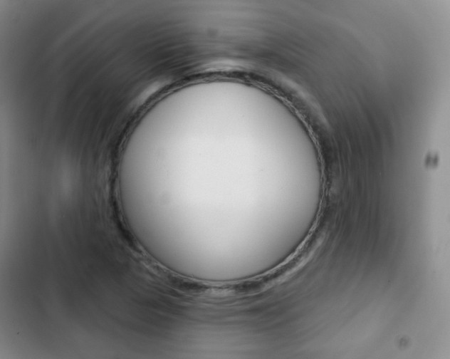 X0000103151313200808221119