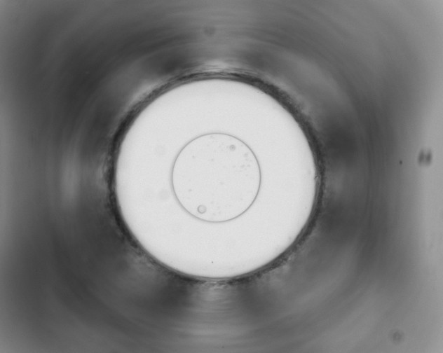 X0000103151314200808221119