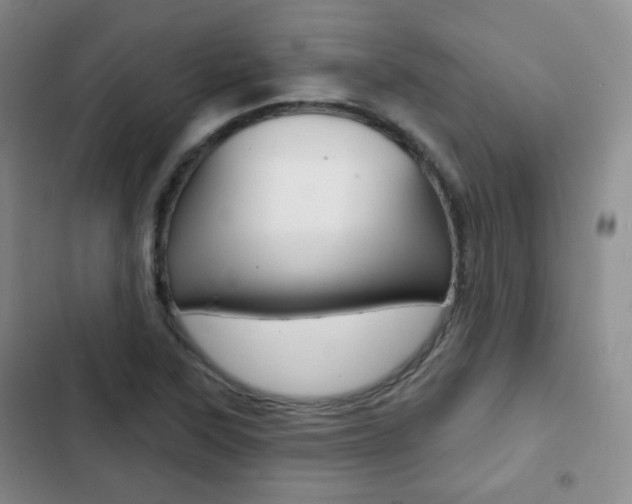 X0000103151315200808221119