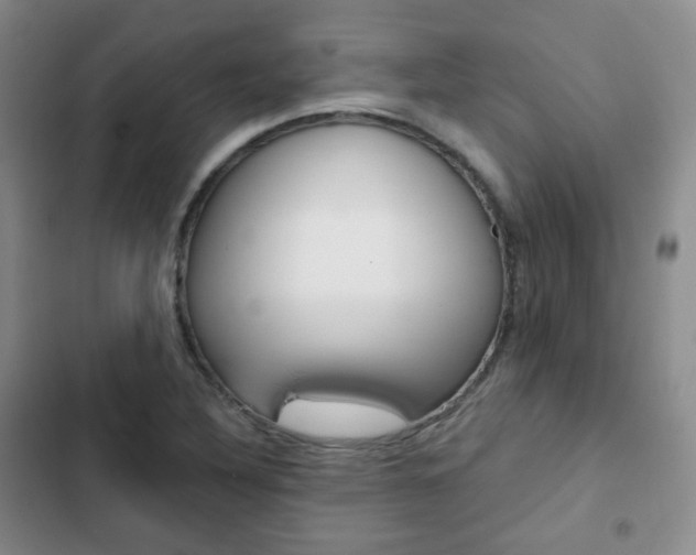 X0000103151316200808221119