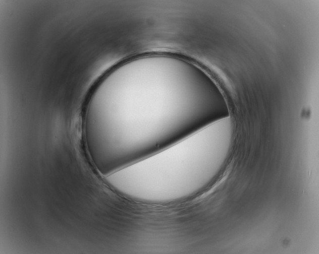 X0000103151317200808221119