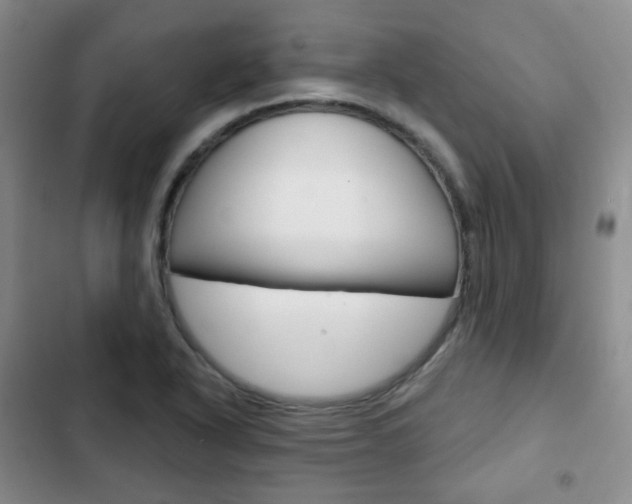 X0000103151318200808221119