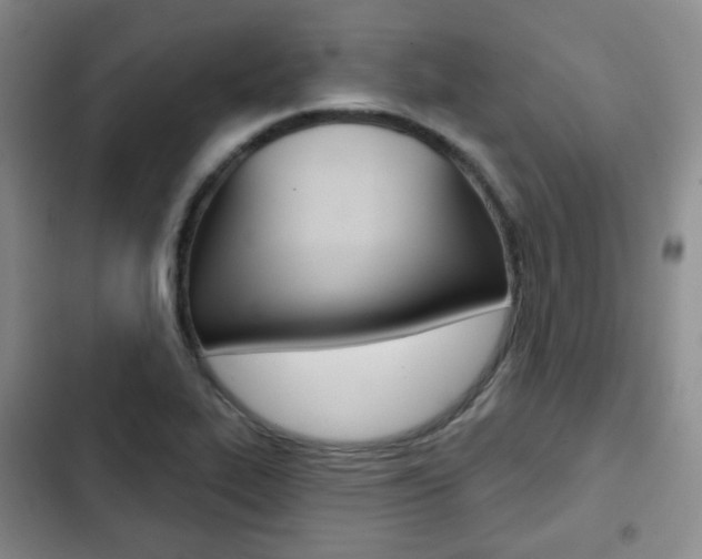 X0000103151319200808221119
