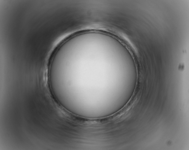 X0000103151320200808221119