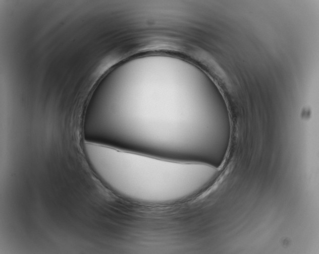 X0000103151321200808221119