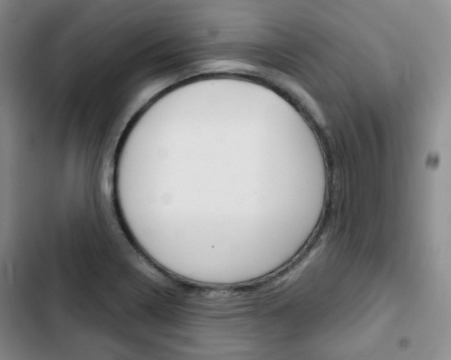 X0000103151322200808221119