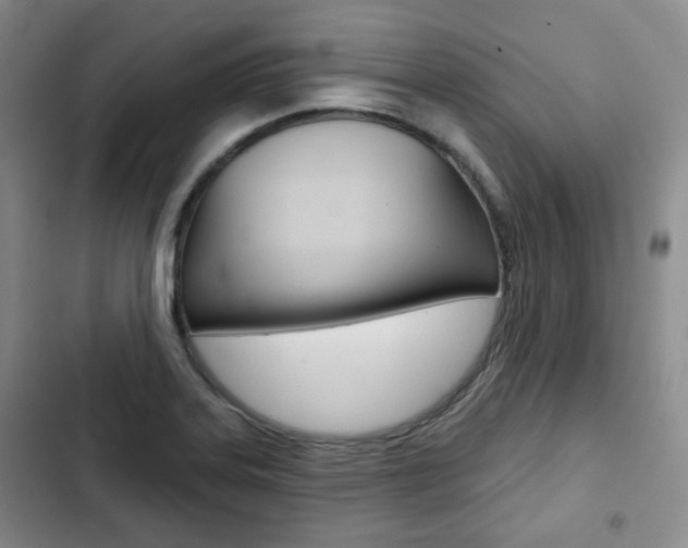 X0000103151323200808221119