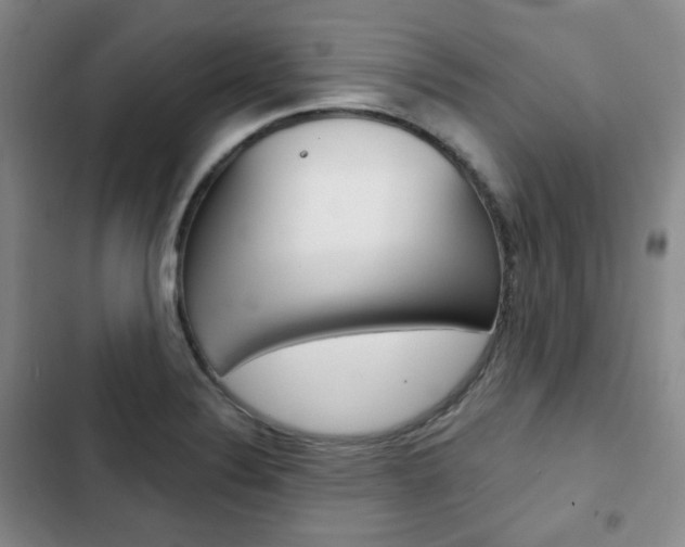 X0000103151324200808221119