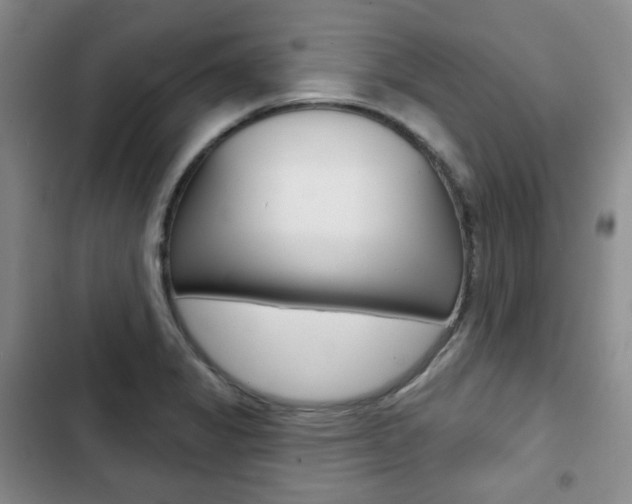 X0000103151325200808221119
