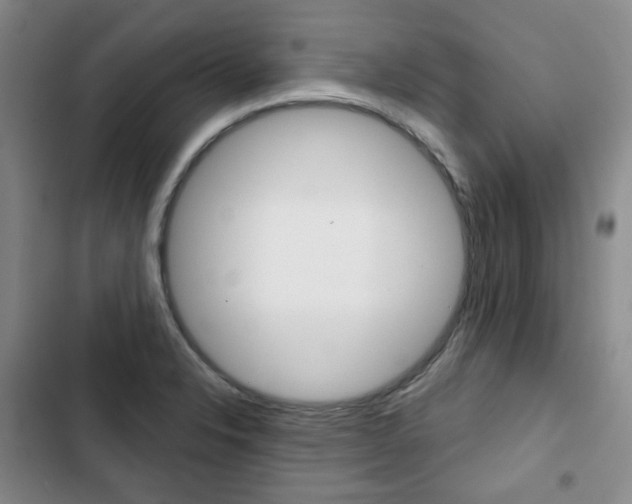 X0000103151326200808221119