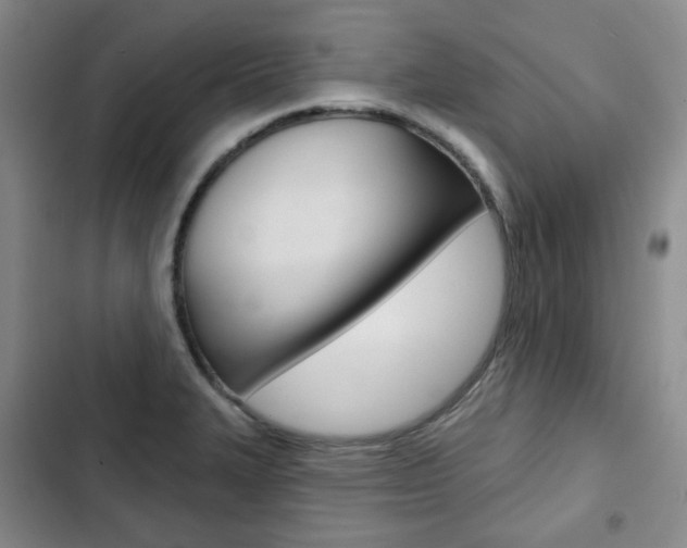 X0000103151327200808221119