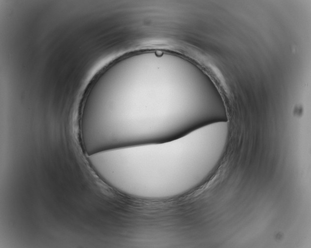 X0000103151328200808221119