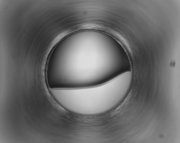 X0000103151330200808221119