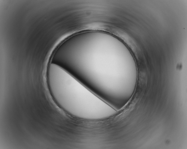 X0000103151331200808221119