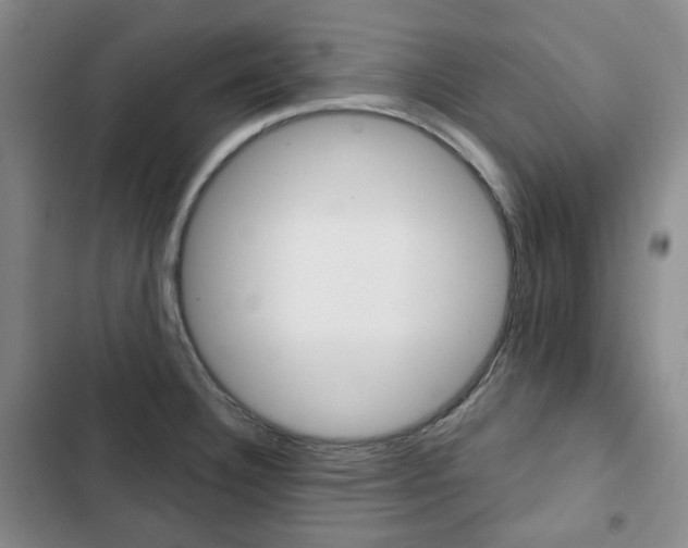 X0000103151332200808221119