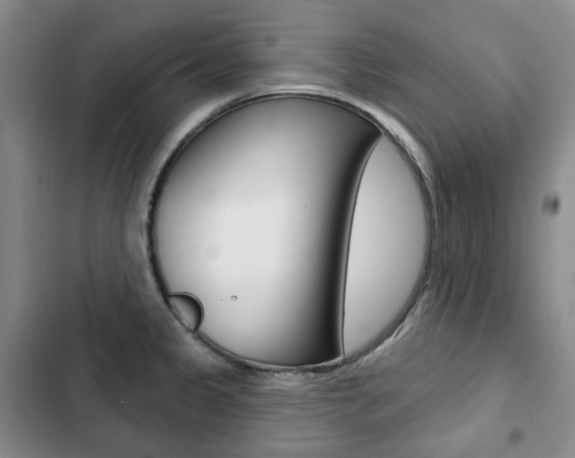 X0000103151333200808221119