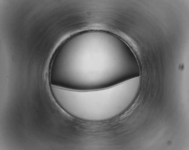 X0000103151334200808221119