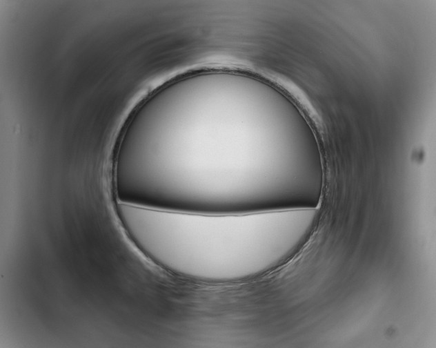 X0000103151335200808221119