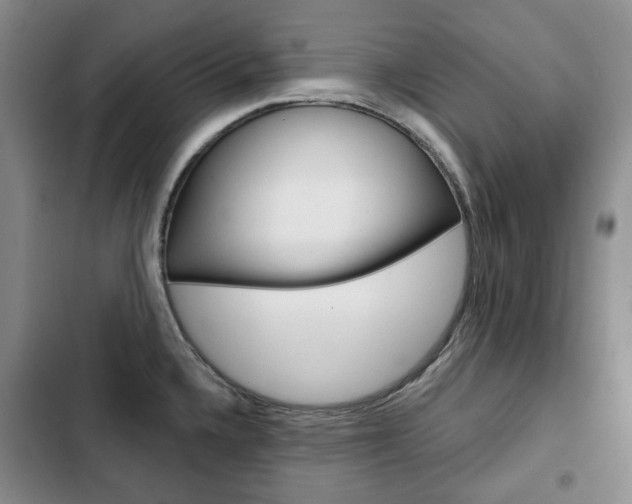 X0000103151336200808221119
