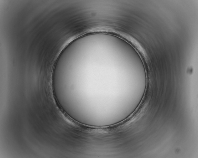 X0000103151337200808221119