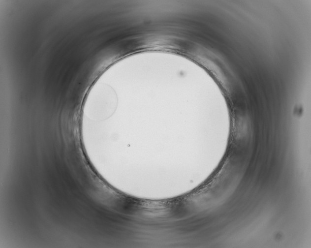 X0000103151338200808221119