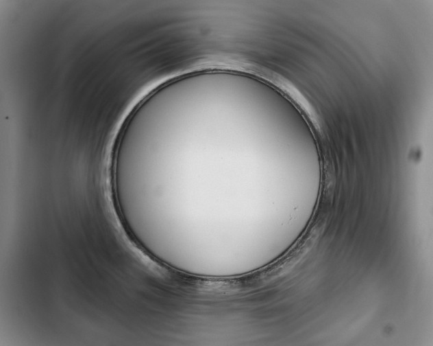 X0000103151339200808221119