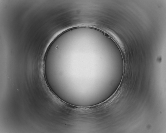 X0000103151340200808221119