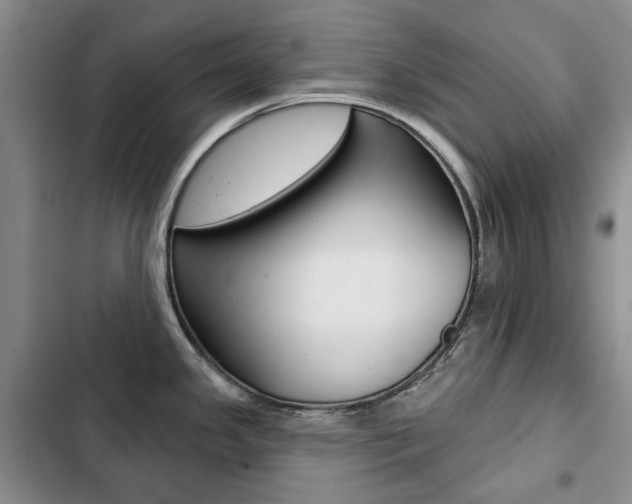 X0000103151341200808221119