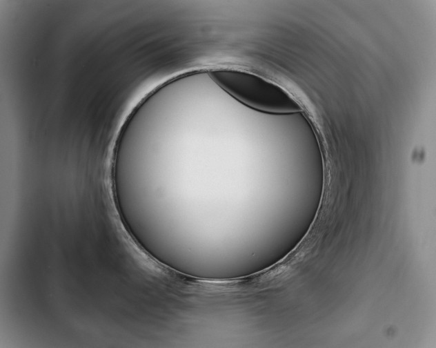 X0000103151344200808221119